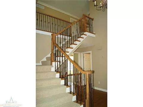 13269 Blaisdell, Dewitt, MI 48820 photo 7