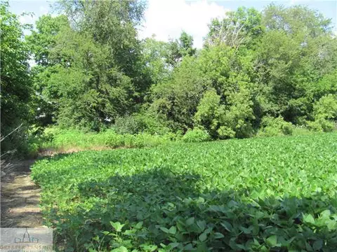 15401 W Herbison Rd, Eagle, MI 48822 photo 3