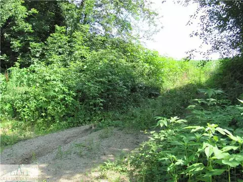 15401 W Herbison Rd, Eagle, MI 48822 photo 6