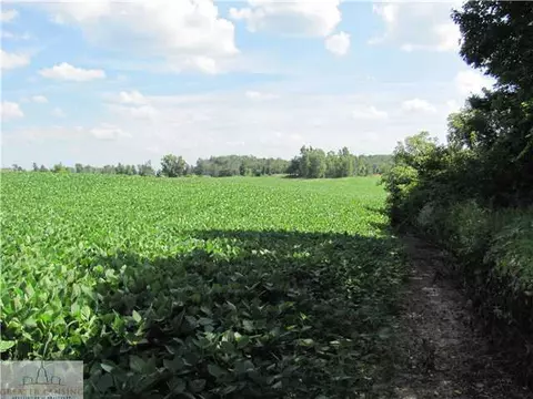 15401 W Herbison Rd, Eagle, MI 48822 photo 7