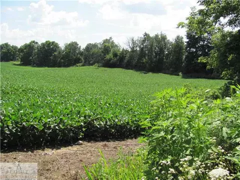 15401 W Herbison Rd, Eagle, MI 48822 photo 4