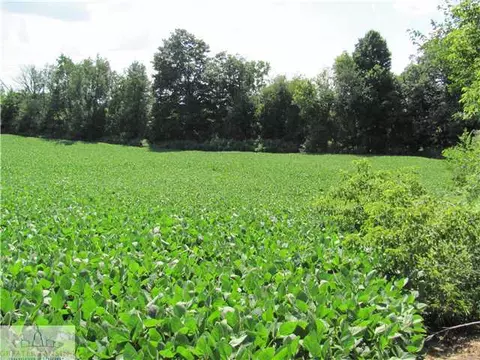 15401 W Herbison Rd, Eagle, MI 48822 photo 1