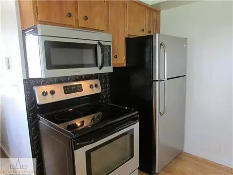 751 E Ash St, Mason, MI 48854 photo 4