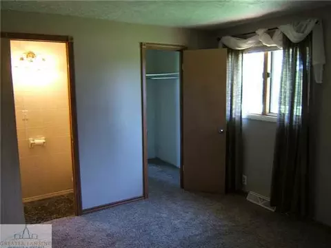1140 E Alward Rd, Dewitt, MI 48820 photo 8