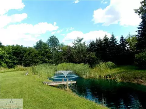 13275 Watson Rd, Bath, MI 48808 photo 5