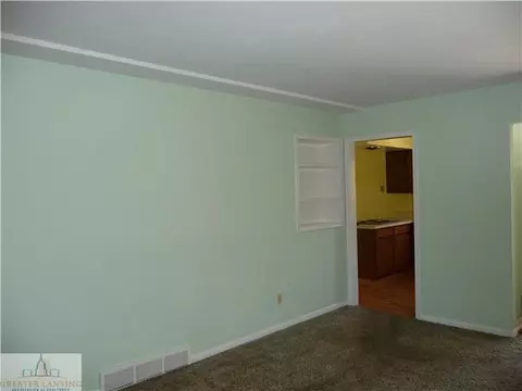 12669 Holly Ln, Dewitt, MI 48820 photo 14