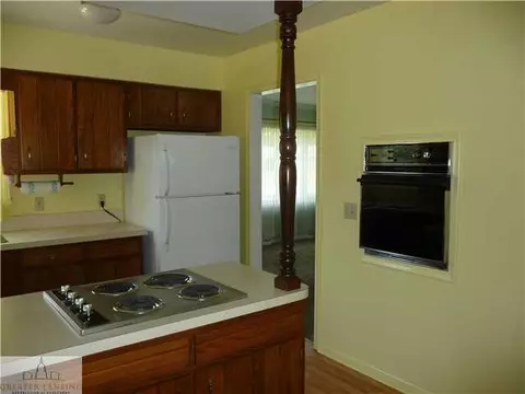 12669 Holly Ln, Dewitt, MI 48820 photo 4