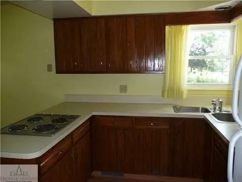 12669 Holly Ln, Dewitt, MI 48820 photo 19