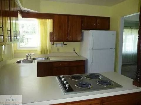 12669 Holly Ln, Dewitt, MI 48820 photo 10
