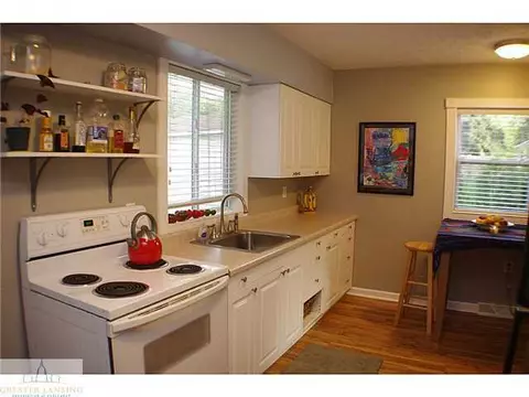 310 N Hickory, Dewitt, MI 48820 photo 3