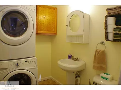 310 N Hickory, Dewitt, MI 48820 photo 14