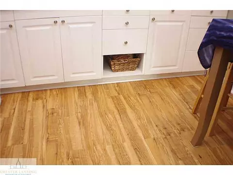 310 N Hickory, Dewitt, MI 48820 photo 5