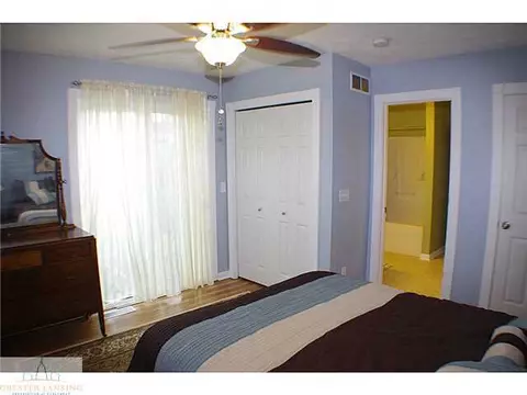 310 N Hickory, Dewitt, MI 48820 photo 9