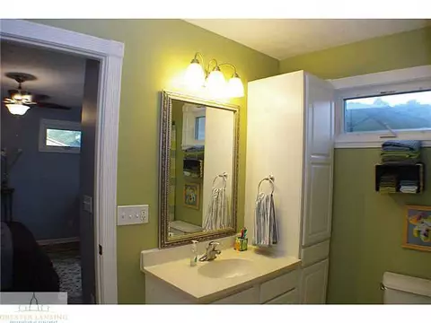 310 N Hickory, Dewitt, MI 48820 photo 10