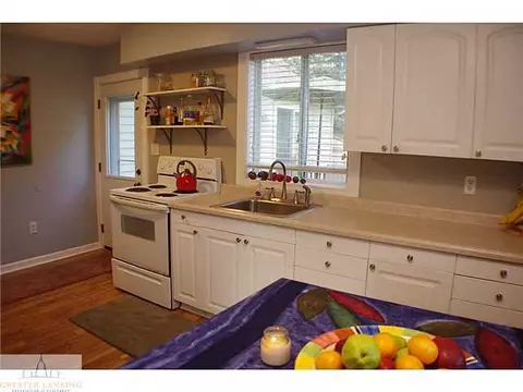310 N Hickory, Dewitt, MI 48820 photo 4