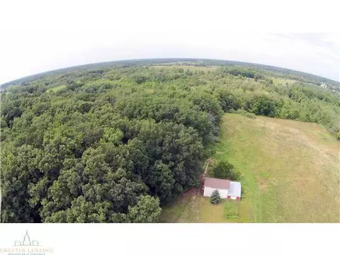 1324 Locher Rd, Dewitt, MI 48820 photo 23