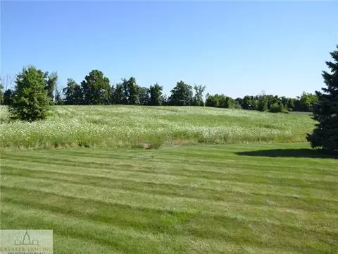 7210 W Howe Rd, Dewitt, MI 48820 photo 4