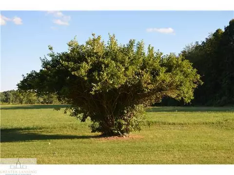 5911 Harper Rd, Holt, MI 48842 photo 18