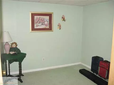 677 Rolfe Rd, Mason, MI 48854 photo 15