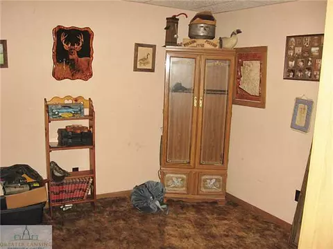 677 Rolfe Rd, Mason, MI 48854 photo 14