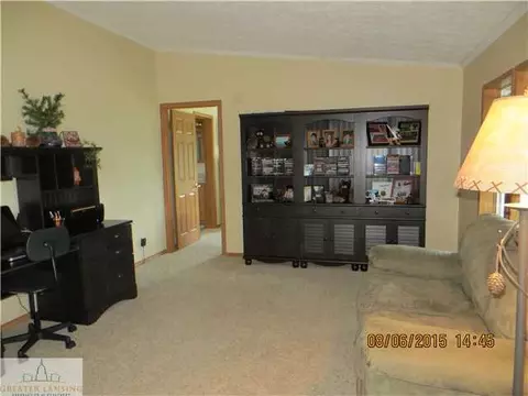 2251 E Maple Rapids Rd, Saint Johns, MI 48879 photo 11