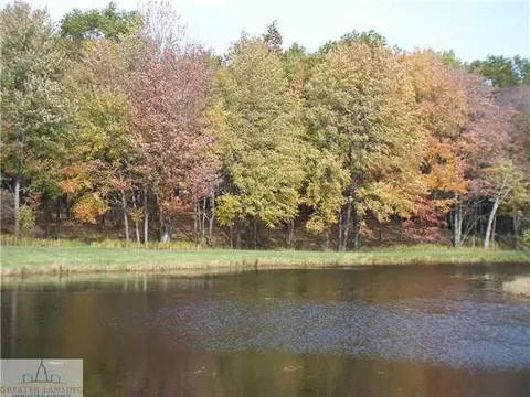 2251 E Maple Rapids Rd, Saint Johns, MI 48879 photo 16