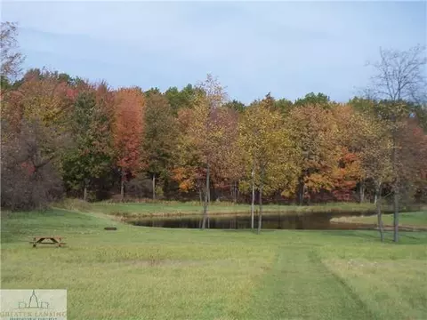 2251 E Maple Rapids Rd, Saint Johns, MI 48879 photo 14