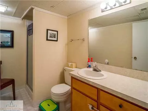 2131 Long Leaf Trl, Okemos, MI 48864 photo 21