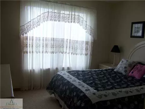 11460 W Howe Rd, Eagle, MI 48822 photo 11