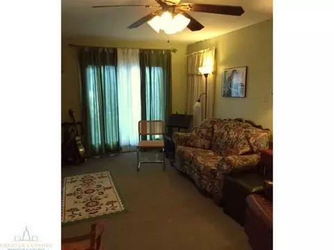 13732 Main St, Bath, MI 48808 photo 9