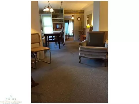 13732 Main St, Bath, MI 48808 photo 8