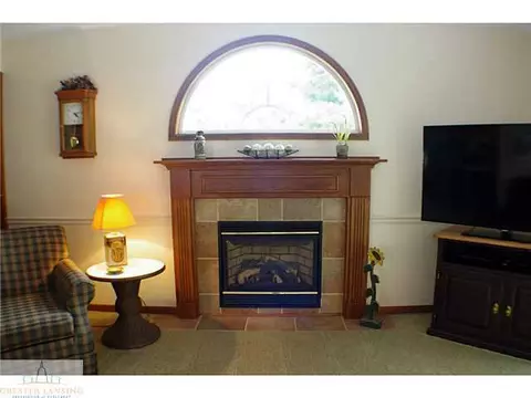 11370 E River Dr, Dewitt, MI 48820 photo 11