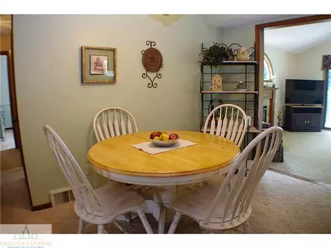 11370 E River Dr, Dewitt, MI 48820 photo 7