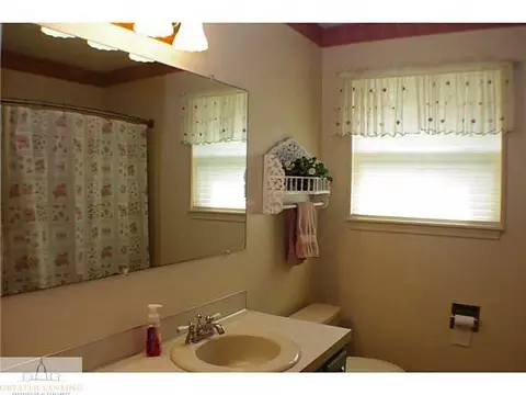 11370 E River Dr, Dewitt, MI 48820 photo 15