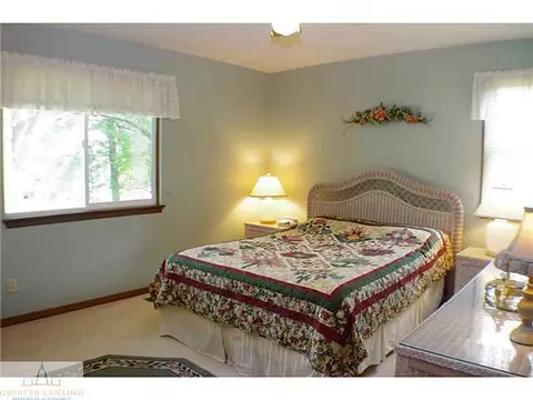 11370 E River Dr, Dewitt, MI 48820 photo 12