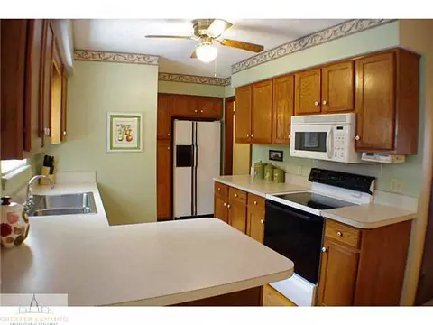 11370 E River Dr, Dewitt, MI 48820 photo 4