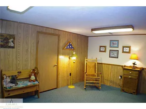11370 E River Dr, Dewitt, MI 48820 photo 16