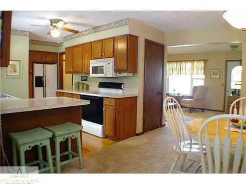 11370 E River Dr, Dewitt, MI 48820 photo 5