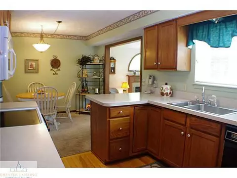 11370 E River Dr, Dewitt, MI 48820 photo 6