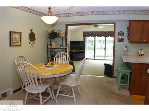 11370 E River Dr, Dewitt, MI 48820 photo 8