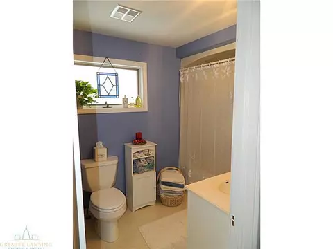 214 N Franklin, Dewitt, MI 48820 photo 20