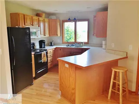 6308 S Lovejoy Rd, Perry, MI 48872 photo 8