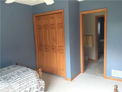 6308 S Lovejoy Rd, Perry, MI 48872 photo 19