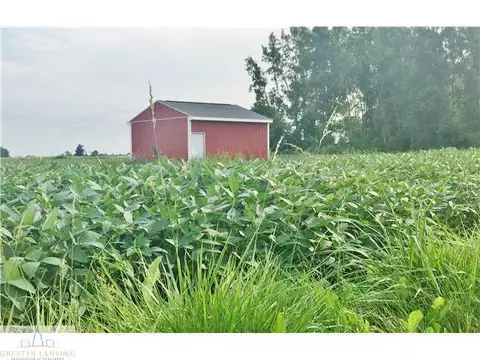 6308 S Lovejoy Rd, Perry, MI 48872 photo 15