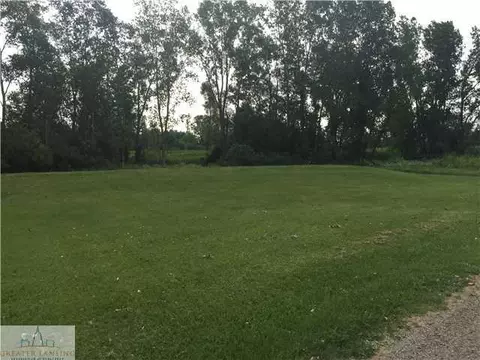 6308 S Lovejoy Rd, Perry, MI 48872 photo 13