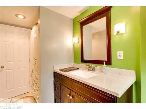 7307 Sunset Dr, Lansing, MI 48917 photo 24