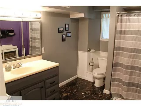 13300 Webster Rd, Bath, MI 48808 photo 14