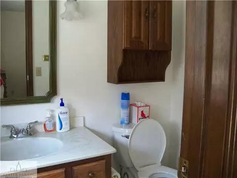 13096 Old Hickory Trl, Dewitt, MI 48820 photo 12