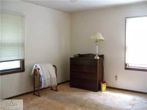 13096 Old Hickory Trl, Dewitt, MI 48820 photo 10
