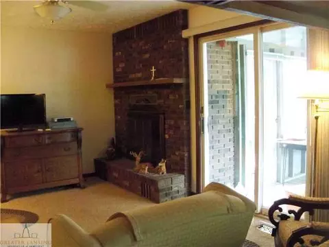 13096 Old Hickory Trl, Dewitt, MI 48820 photo 4